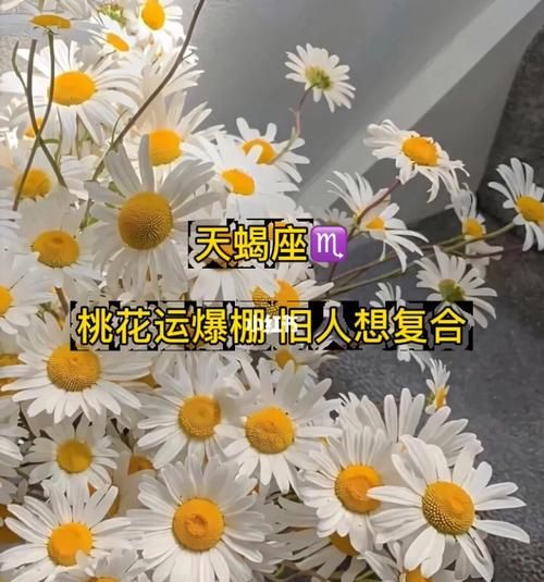 天蝎座桃花运,2022年天蝎女爱情桃花运程图5