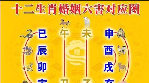 6合婚姻难找,6合婚姻是绝对的什么意思图2