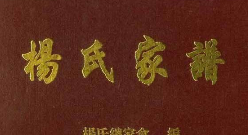 杨家家谱全部的字辈,杨氏24个字辈怎么排?图6