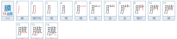 月字旁的字有哪些字,月字旁的字有哪些图3