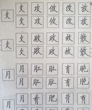 月字旁的字有哪些字,月字旁的字有哪些图6