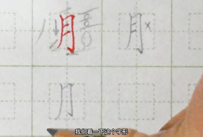 月字旁的字有哪些字,月字旁的字有哪些图7