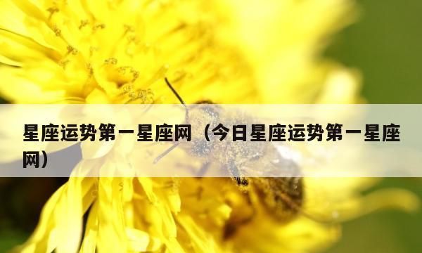 星座运势查询,哪个星座运势比较准图1