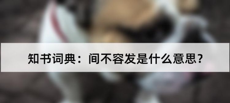 间不容发的意思,间不容发的意思成语意思图1