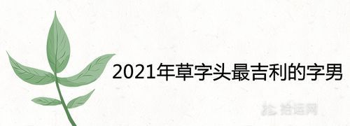 草字头取名寓意好的字,草字头女孩名字寓意好的字图2