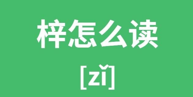 抽血的拼音,血的拼音是什么图4