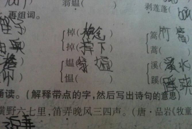 侧组词 两字,侧字怎么组词是什么图3