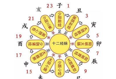 十二时辰怎么读,子丑寅卯12个时辰怎么读图3