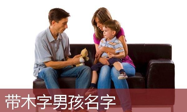 姓李取名男孩带木字,李姓带木字旁男孩名字图2