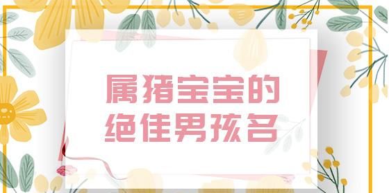 猪宝宝男孩取名大全字典,帮小男孩起名字大全图1