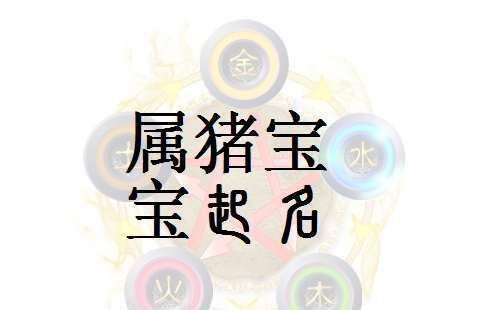 猪宝宝男孩取名大全字典,帮小男孩起名字大全图2