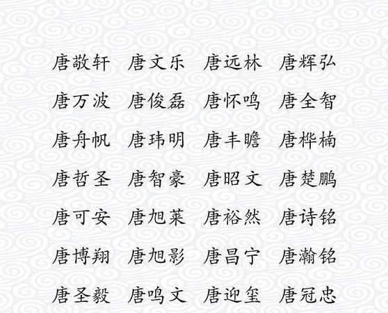 猪宝宝男孩取名大全字典,帮小男孩起名字大全图3