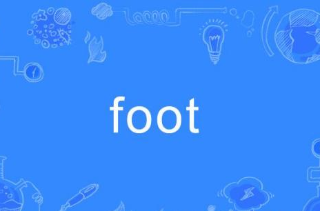 foot,foot什么意思图1