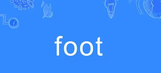 foot,foot什么意思图2