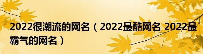 微信昵称2022,2022最火的微信昵称英文图1