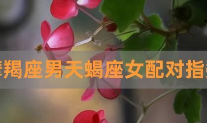 娱乐圈天蝎男和摩羯女的情侣,摩羯座女生天蝎座男生配对指数图1