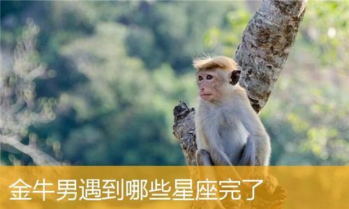 金牛男汇报行踪代表啥,一个男生主动汇报自己的行踪表示什么意思图1