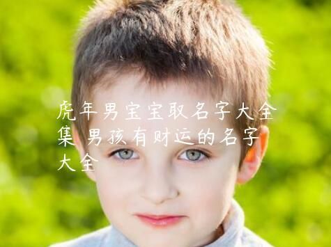 2022虎年大富大贵男孩名字,虎宝宝男孩取名字图2