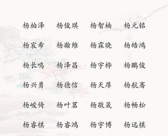 杨姓男名简单大方,杨姓好听稀少的男孩名字图2