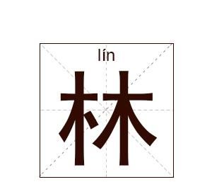 林姓取名字大全男孩名字,姓王的男孩名字洋气点图3