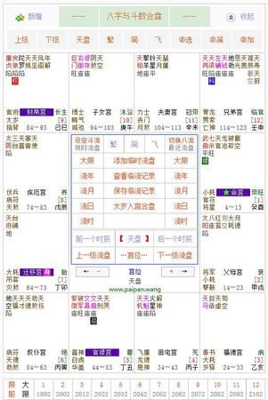 最准紫微斗数在线排盘,紫微斗数在线排盘免费软件图3