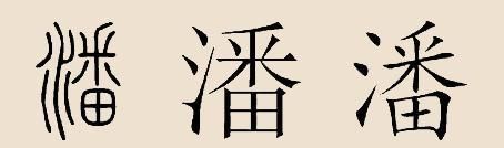 潘姓两个字的名字大全,潘姓起名字大全男孩名字图2