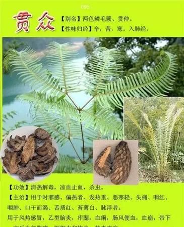 中草药名大全3000种,中药命名的方法有哪些图3