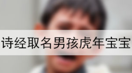 诗经取名男孩虎年宝宝,2000个男孩诗经楚辞的名字图3