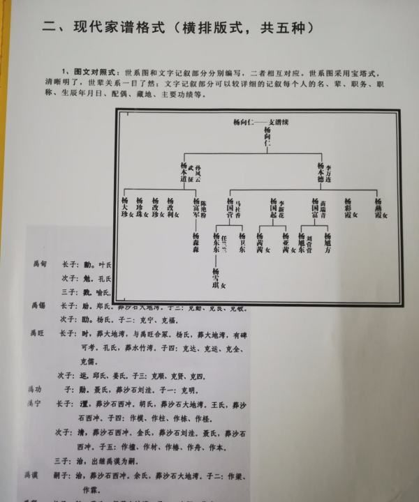 现代家谱简单样本,家谱格式样本图简单图6