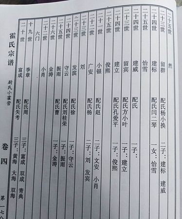 现代家谱简单样本,家谱格式样本图简单图10