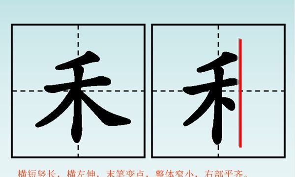 禾字的笔顺图片