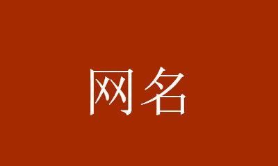 40岁女人微信优雅名字,40一45岁女人微信名图2