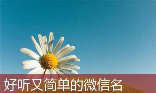 微信名字微信昵称女生,女人稳重大气微信名字两个字图4