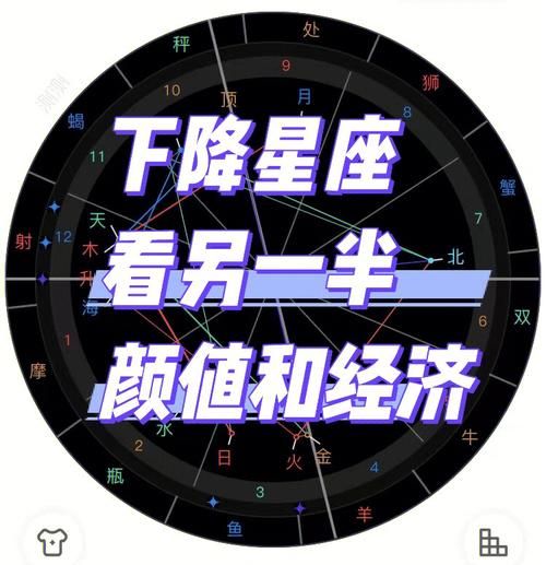 天顶星座看另一半家境,从天顶星座看另一半长相图2