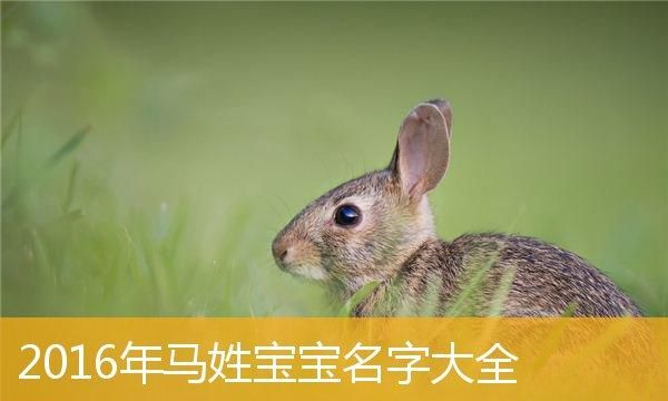 马姓女孩名字大全文库,202姓马的女孩叫什么名字好听图2
