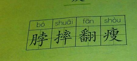 掠的组词2个字,掠字组词图7