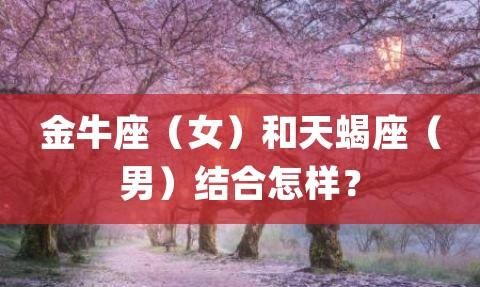 失去金牛女的天蝎男,天蝎座男生和金牛座女生会成为夫妻图2