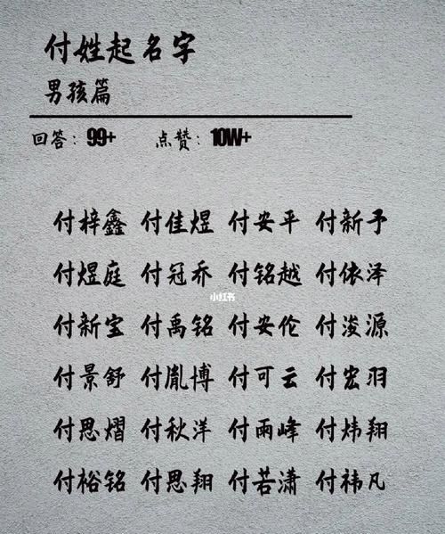 付姓男宝宝起名,姓付男孩寓意好的名字大全图2