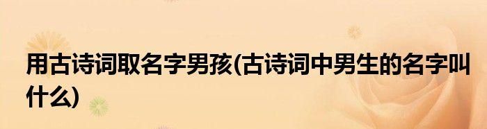 古诗词取名字男孩,古诗词中好听的男孩名字图3