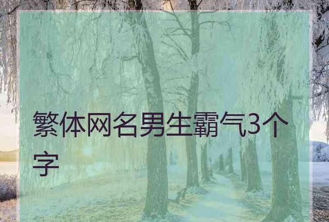 游戏网名男生霸气冷酷两个字,又狠又霸气的网名男二字偏辟字图1