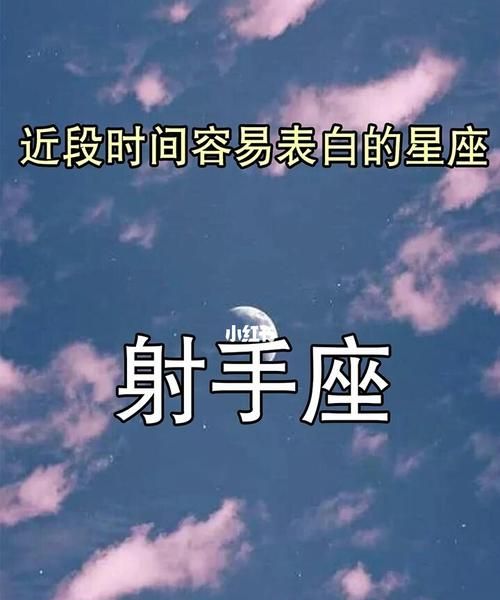 对射手女表白的星座,表白最容易成功的星座男图7