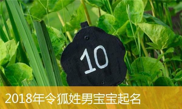 男宝宝名字大全208,给男宝宝取什么名字好听又有含义图3