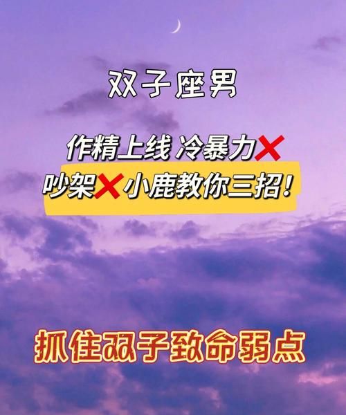 找个双子男当老公是啥感觉,双子座未来的老公是什么星座图1