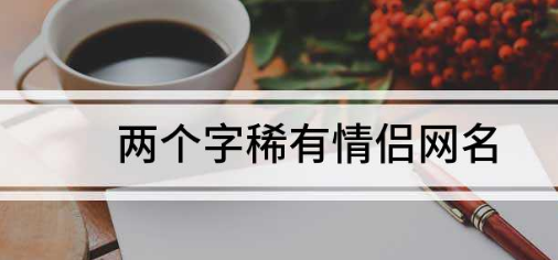 情侣网名生僻字,两个字稀有情侣网名带符号图1