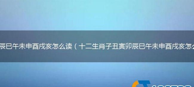 壬怎么读十二生肖,十二属象按顺序用拼音怎么读出来图4