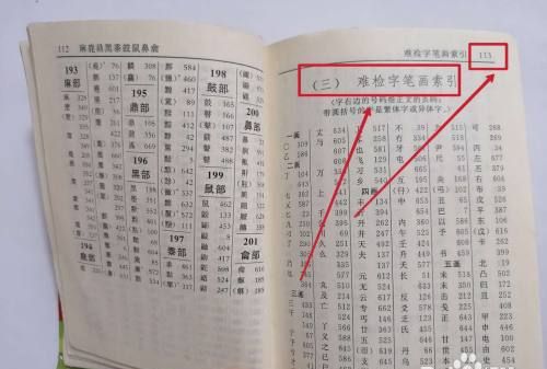 难检字是什么意思,新华字典的难检字表是按什么排列的图1