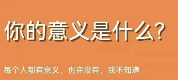 你的意义是什么 测试,问卷调查:你觉得人生的意义是什么图1