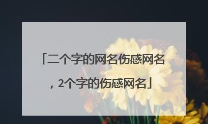 两个字虐心颓废的网名,两字伤感ID看了心酸带符号图3