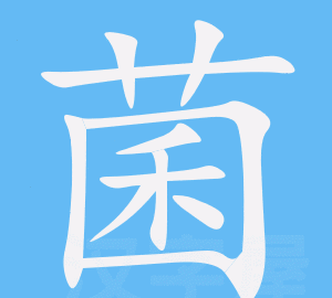 菌组词两个字,菌的组词是什么图1