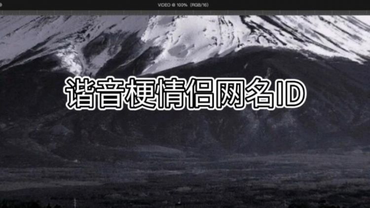 谐音梗的游戏id,刘的谐音梗网名图2